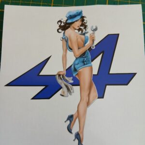 Sticker Alpine Pin-Up